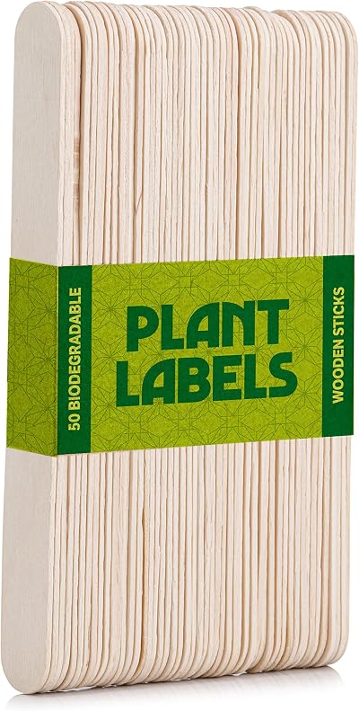 EFA International 50Pcs Plant Labels Biodegradable Birch Wood Markers 15cm