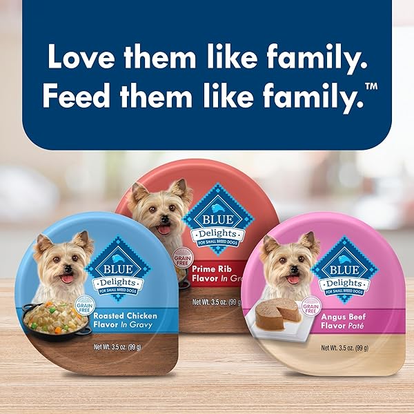 BLUE BUFFALO DELIGHTS NATURAL ADULT SMALL BREED WET DOG FOOD, VARIETY PACK, MADE WITH NATURAL INGREDIENTS, FILET MIGNON & NEW YORK STRIP RECIPE IN HEARTY GRAVY, 3.5-OZ. CUPS (12 COUNT, 6 OF EACH)