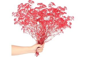 SONGJUM Dried Baby's Breath Flowers Bouquet 2000+ Natural Dried Flowers Baby's Breath Real Gypsophila Branches for Wedding Table Vase Party Garden DIY Wreath Floral Home Decor（Red）