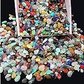800Pcs+ (3lb) Gemstones and Crystals Set,30Kinds+ Bulk Rocks and Minerals Science Kit,Rocks Collections for Kids,Tumbled Chip