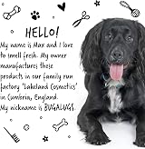 BUGALUGS Dog Shampoo Lavender & Chamomile 4 in 1 5 Litre vegan conditioner view 4