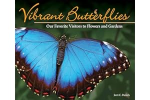 Vibrant Butterflies: Our Favorite Visitors to Flowers and Gardens (Nature Appreciation)