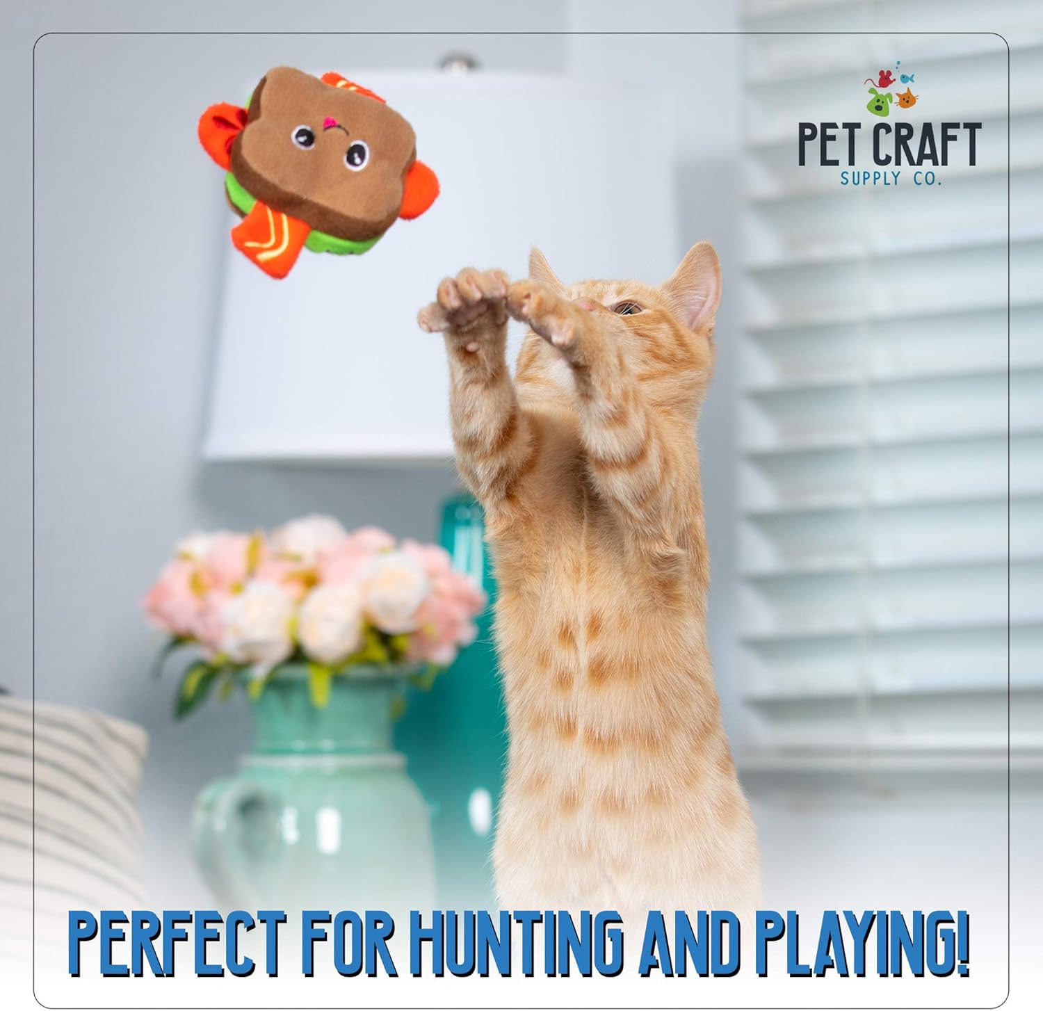 Pet Craft Supply Silly Snacks and Funny Food Crinkle Cuddling Catnip and Silvervine Toys - Interactive Cat Toys Alternative to Mice Fish Feathers Cat Toy : Pet Supplies