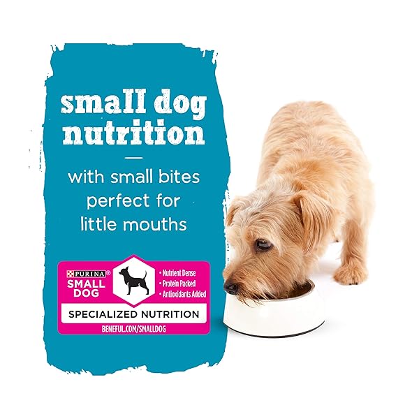 PURINA BENEFUL SMALL BREED WET DOG FOOD VARIETY PACK, INCREDIBITES WITH REAL BEEF, CHICKEN AND SALMON – (PACK OF 30) 3 OZ. CANS