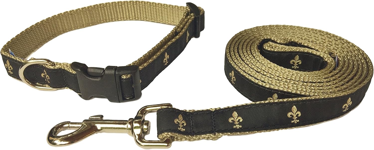 gold collar and leash