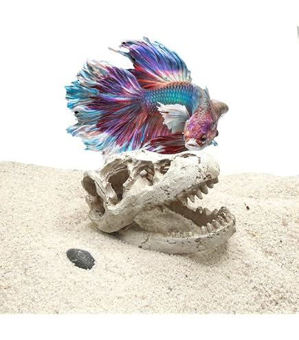 dinosaur fish tank accessories MTGHYARE Resin Skull Aquarium Ornament Mini Dinosaur Decoration Betta Small Dinosaur Skull Fish Reptile Tank with Holes Aquarium Landscape Reptile Hideout Caves : Pet Supplies zero_out_no_hide Abu Garcia (Ambassadeur) 21200 While many conventional decorations Color:black