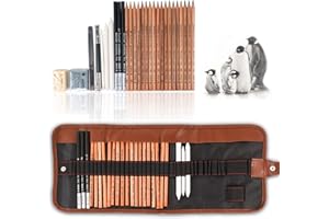 ARRTX 29 Pieces Professional Sketching & Drawing Art Tool Kit With Graphite Pencils, Charcoal Pencils, Paper Erasable Pen, Craft Knife-Lightwish (without Sketchbook, with Canvas Rolling Pouch）…