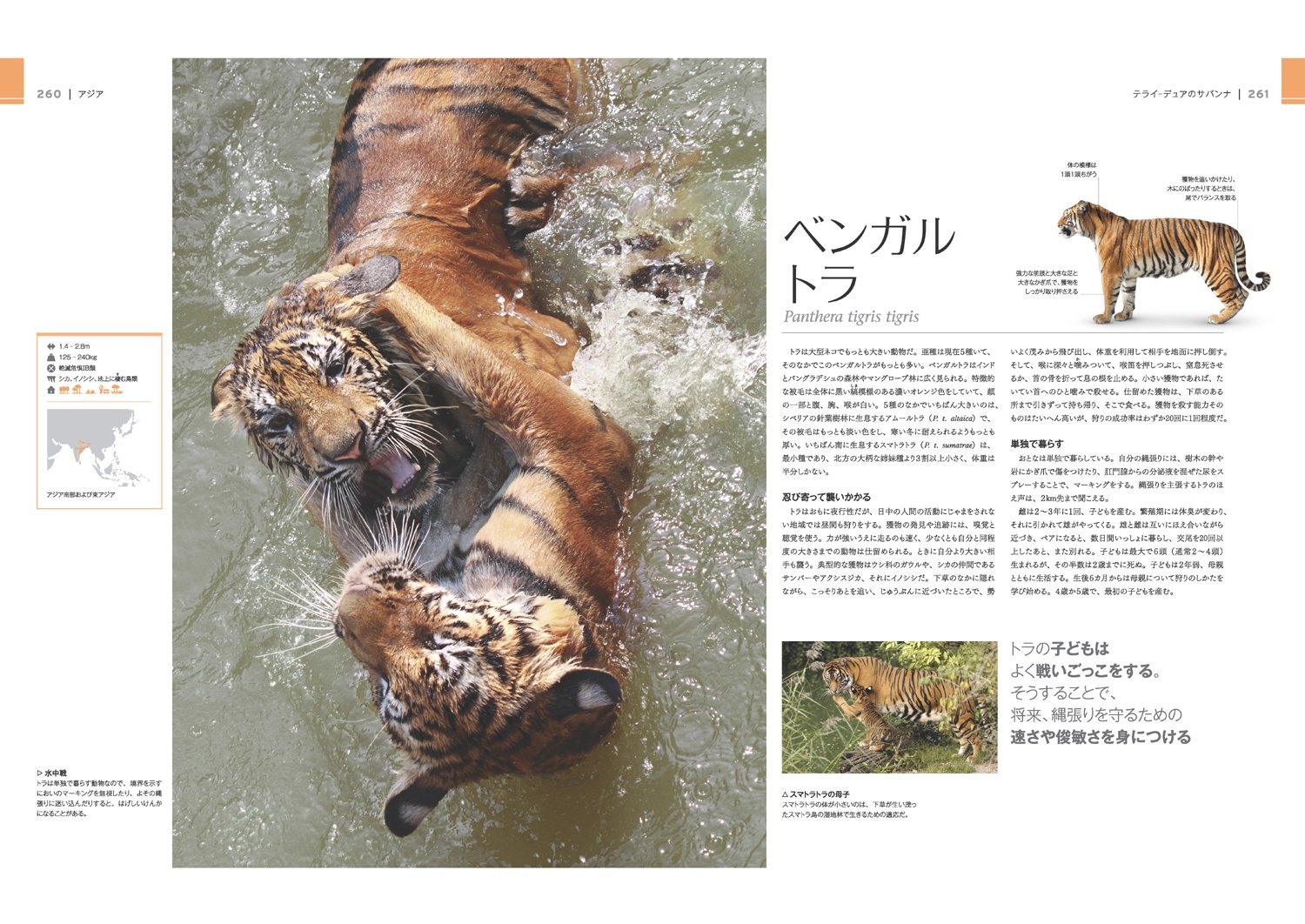 驚くべき世界の野生動物生態図鑑 スミソニアン協会 小菅 正夫 黒輪 篤嗣 本 通販 Amazon