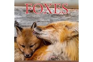Canada Foxes 2025 Large Monthly 12x23.5" Wall Calendar by John Morris | Canadian Animals