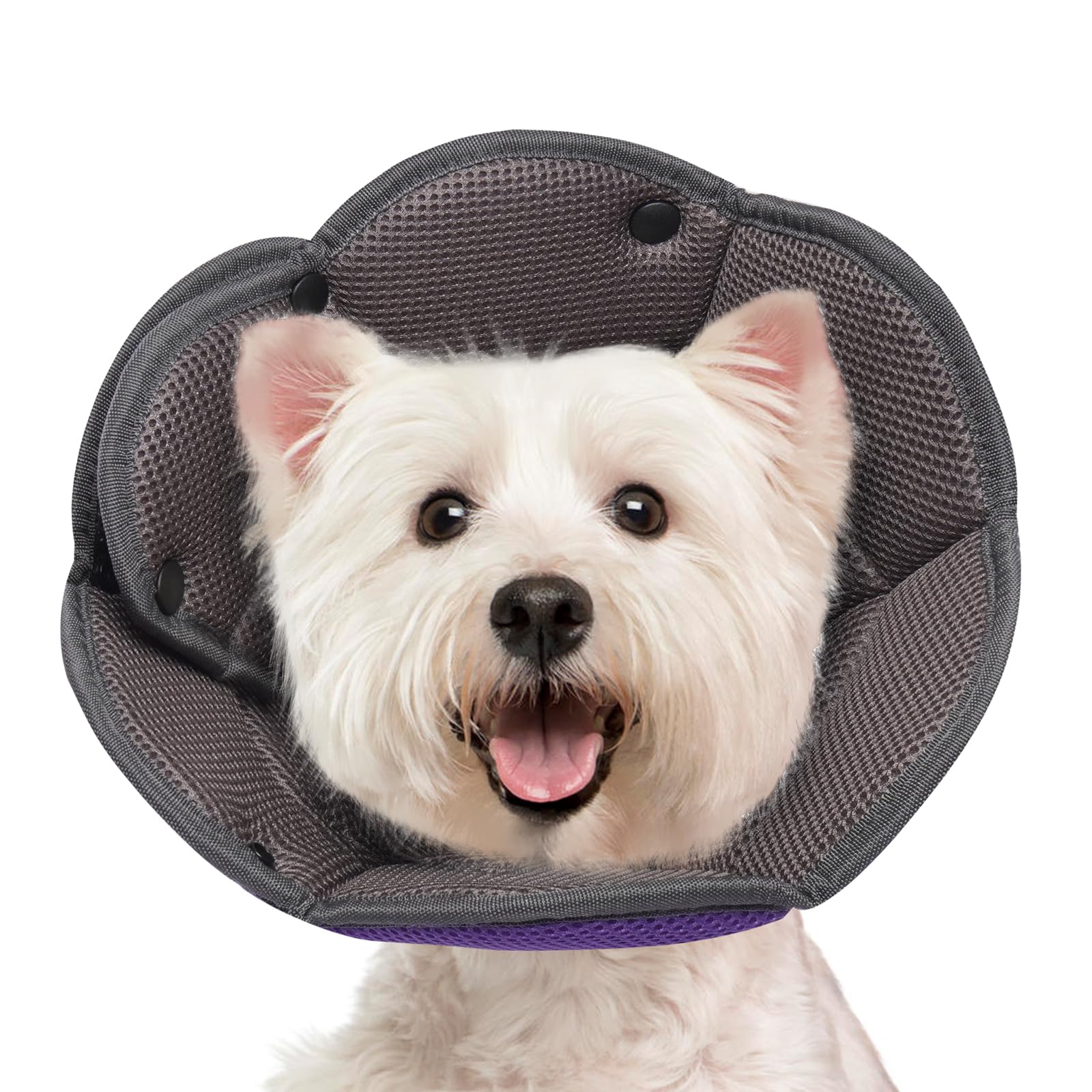 Hjyokuso Dog Cone Collar S, Soft Cones for Large Medium Small Dogs,Adjustable Dog Cone Alternative to Stop Licking, Comfy Elizabethan Collar for After Surgery Wound Healing & Hot Spots Purple