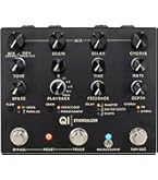 Amazon.com: Walrus Audio SLOER Stereo Ambient Reverb, Black