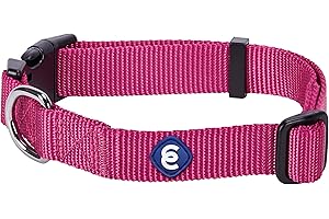 Blueberry Pet Essentials Medium Dog Collar | Neck 14.5" - 20" Adjustable Very Berry Dog Collars for Medium & Small Dogs | Stylish Girl Dog Collar in Durable High-Density Nylon | Safe & Secure