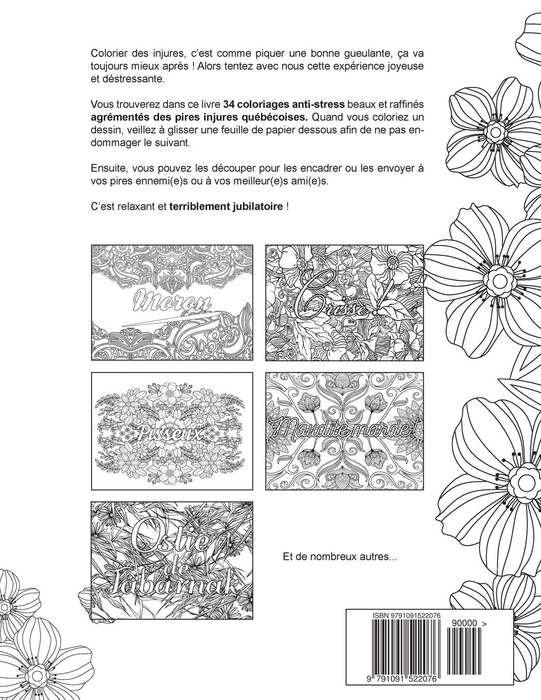 Mon Cahier D Injures Quebecoises A Colorier Le Premier Cahier De Coloriage Adulte Quebecois Avec Injures Et Jurons Procrastinateur Amazon Fr Livres