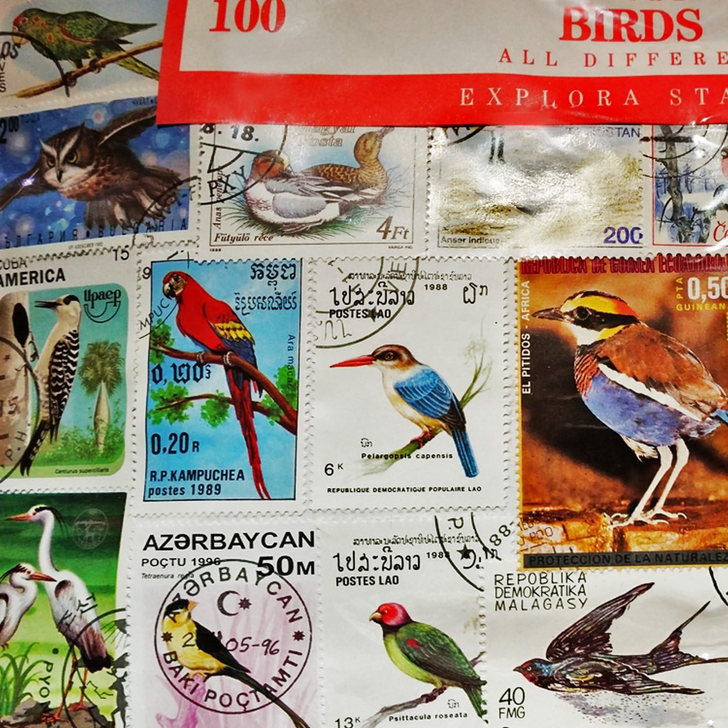 Worldwide Bird Birds Stamp Collection Souvenir! Ornithology / Owls / Parrots 100 Stamps - Image 3