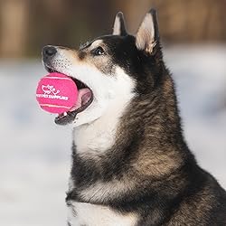 Best Pet Supplies Interactive Squeaky Dog Chew