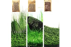 ZUQOVI 3 Aquarium Plant S.e.e.d Set, not Plastic Artificial Silk Plant,Universal Plant for All Substrate (0.36ozTiny+0.36oz Long+0.36oz Short) ZQVS21