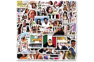 62pcs Reality Show Stickers Pack，Cute Cartoon Aesthetics Vinyl Waterproof Decals for Water Bottle, Laptop, Phone, Skateboard,