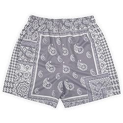 DIOTSR Mens Mesh Paisley Shorts, Casual Retro