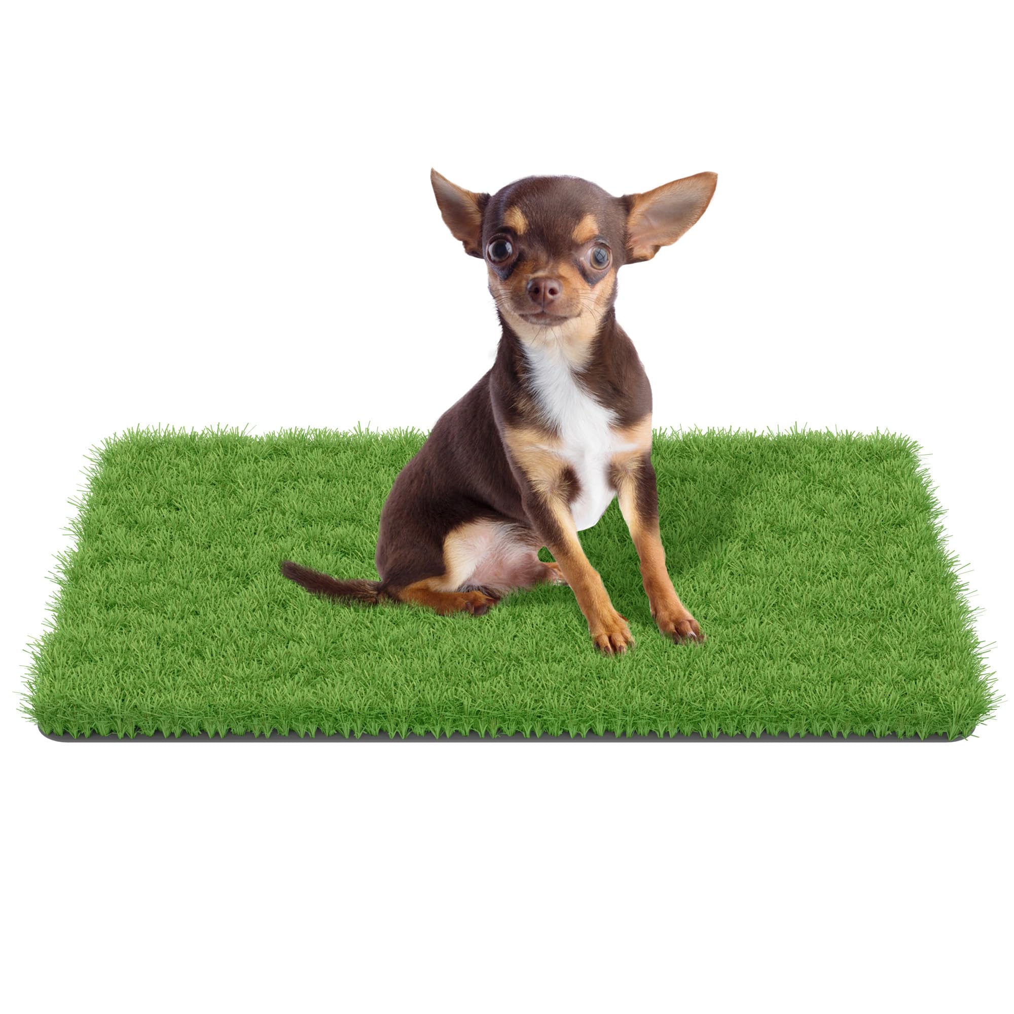Photo 1 of MAYSHINE Fake Grass for Dogs, Artificial Turf Grass Indoor Outdoor, Mat for Dogs Soft Blades, Cesped Artificial for Patios, Dog Astro Turf for Balcony, Quick Clean, Easy Rinse Patio Rug, 29.5"x17"