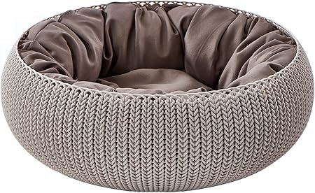 curver pet bed
