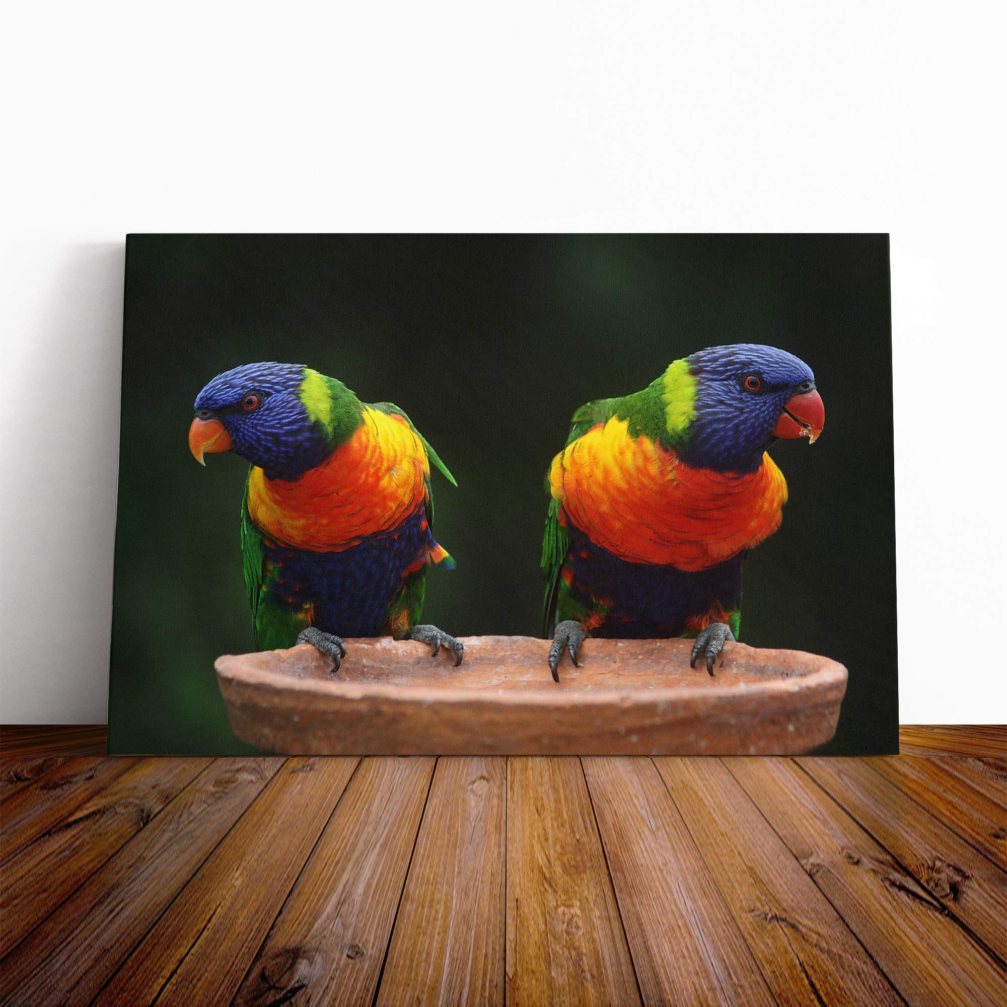 Rainbow Lorikeet Parrot Birds Canvas Print | Gallery Wrapped 30mm Frame Wall Art | 20x14 inches | Ready to Hang | Modern Animals Picture | Living Room Bedroom Lounge Office