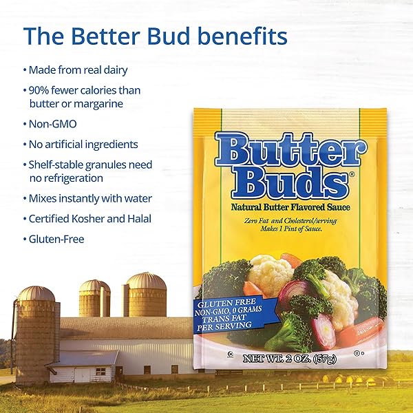 BUTTER BUDS SAUCE MIX, 2 OZ (4-PACK) – NON-GMO, GLUTEN-FREE NATURAL BUTTER FLAVORED SAUCE MADE WITH BUTTERMILK, 0 FAT, 0 CHOLESTEROL