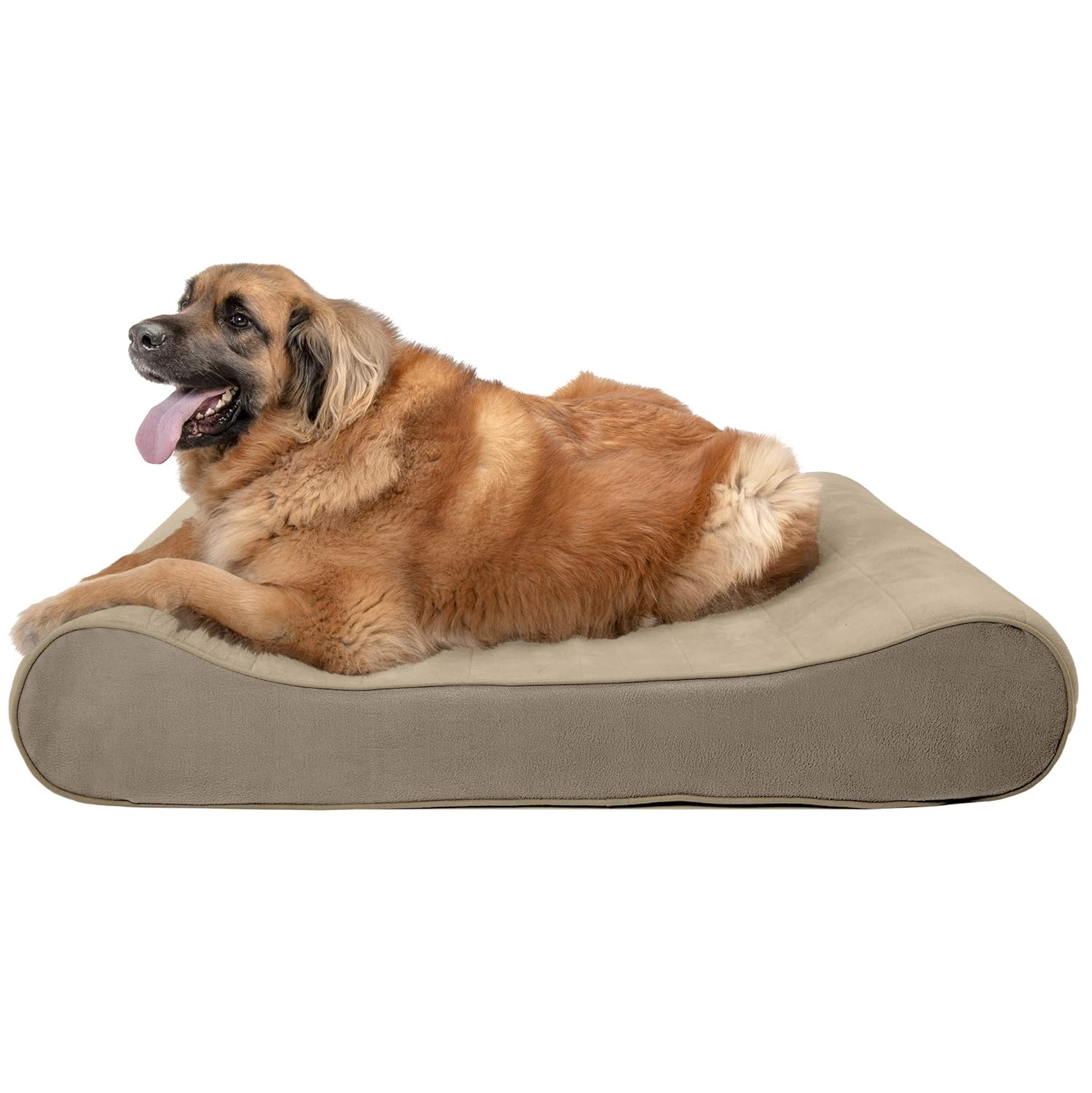 fitted dog bed cover