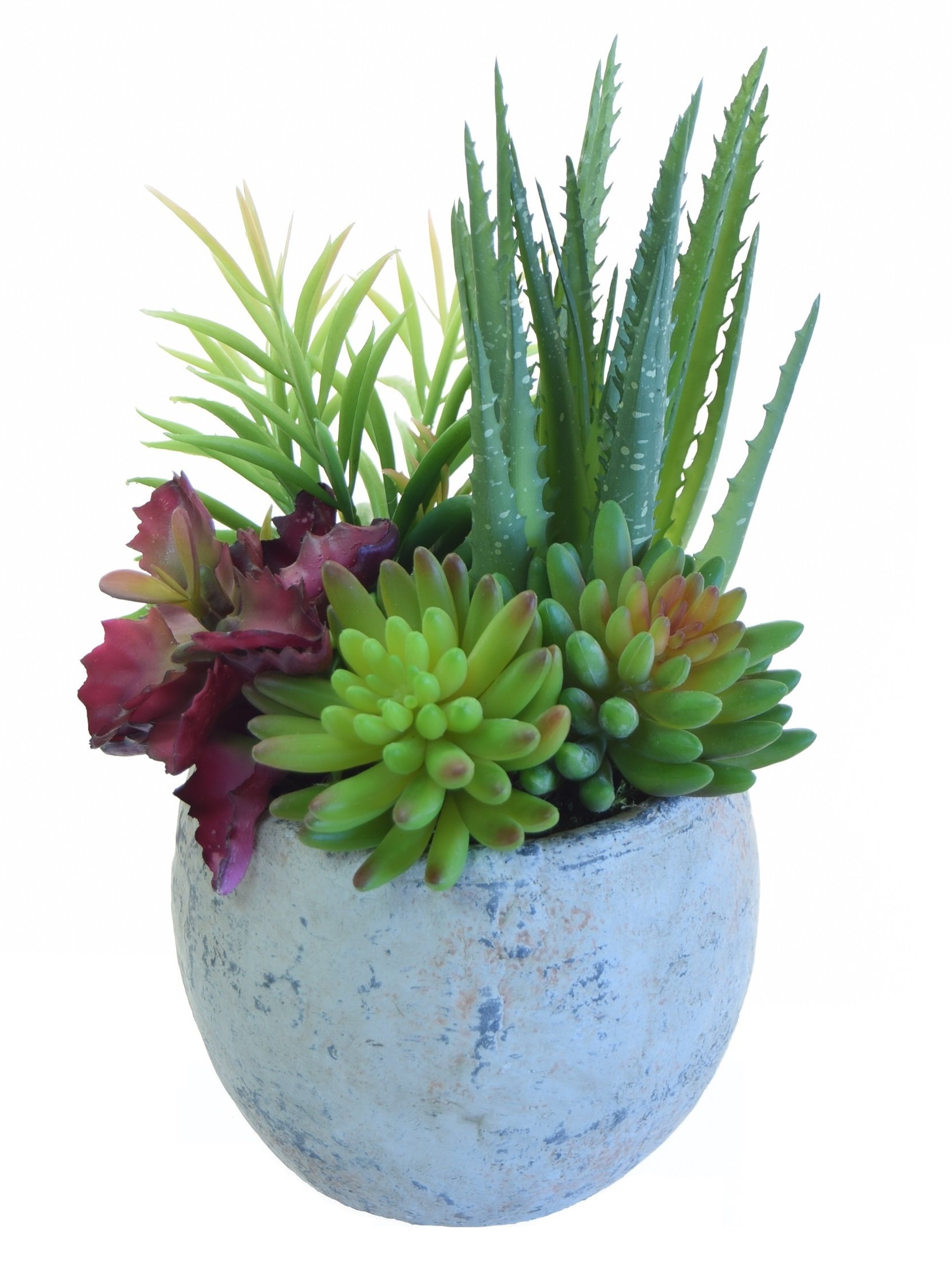 aloe grape vozol Buy Cheap VOZOL - ALOE GRAPE main image 1