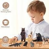 toymany 12PCS North American Forest Animal Figurines Realistic Toy Set view 8