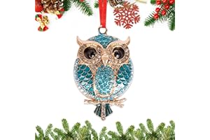 GENERIC BIZIBAFF Owl Christmas Ornaments 2024 - Metal Owl Ornaments - Teal Owl Ornaments for Christmas Tree - Gifts Keepsake for Owl Animals Lovers Owl Gifts for Women Men Kids Teen Girls Teen Boys