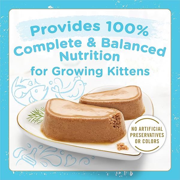 FANCY FEAST PURINA PETITES KITTEN TENDER PATE GOURMET WET KITTEN FOOD VARIETY PACK – 12 CT. TUB
