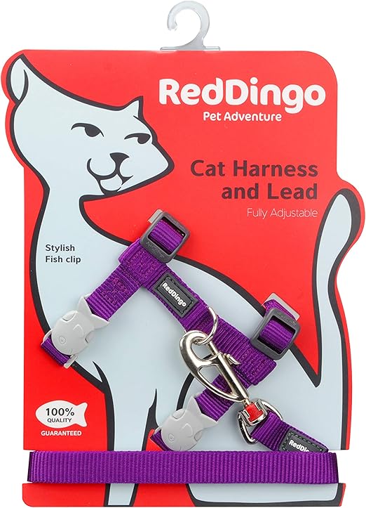 amazon cat harness and lead