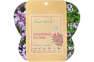 FLAWN SEED KITS Flawn Seed Creeping Thyme Seed, Pollinator Friendly, Low Maintenance, Lawn Alternative, Ground Cover, Compostable Pouch, Covers Up to 500 SqFt