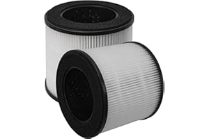 Byseacore HEPA Replacement Filter Compatible with Purivortex AC300 Air Purifier Filter, 2 Counts