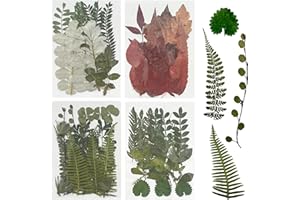 Woohome 69 PCS Natural Dried Pressed Leaves, Assorted Real Dried Pressed Leaves, 4 Packs Natural Dry Leaves with Tweezers, Scissors for Pressed Leaf Art Craft DIY Embellishment Decorations