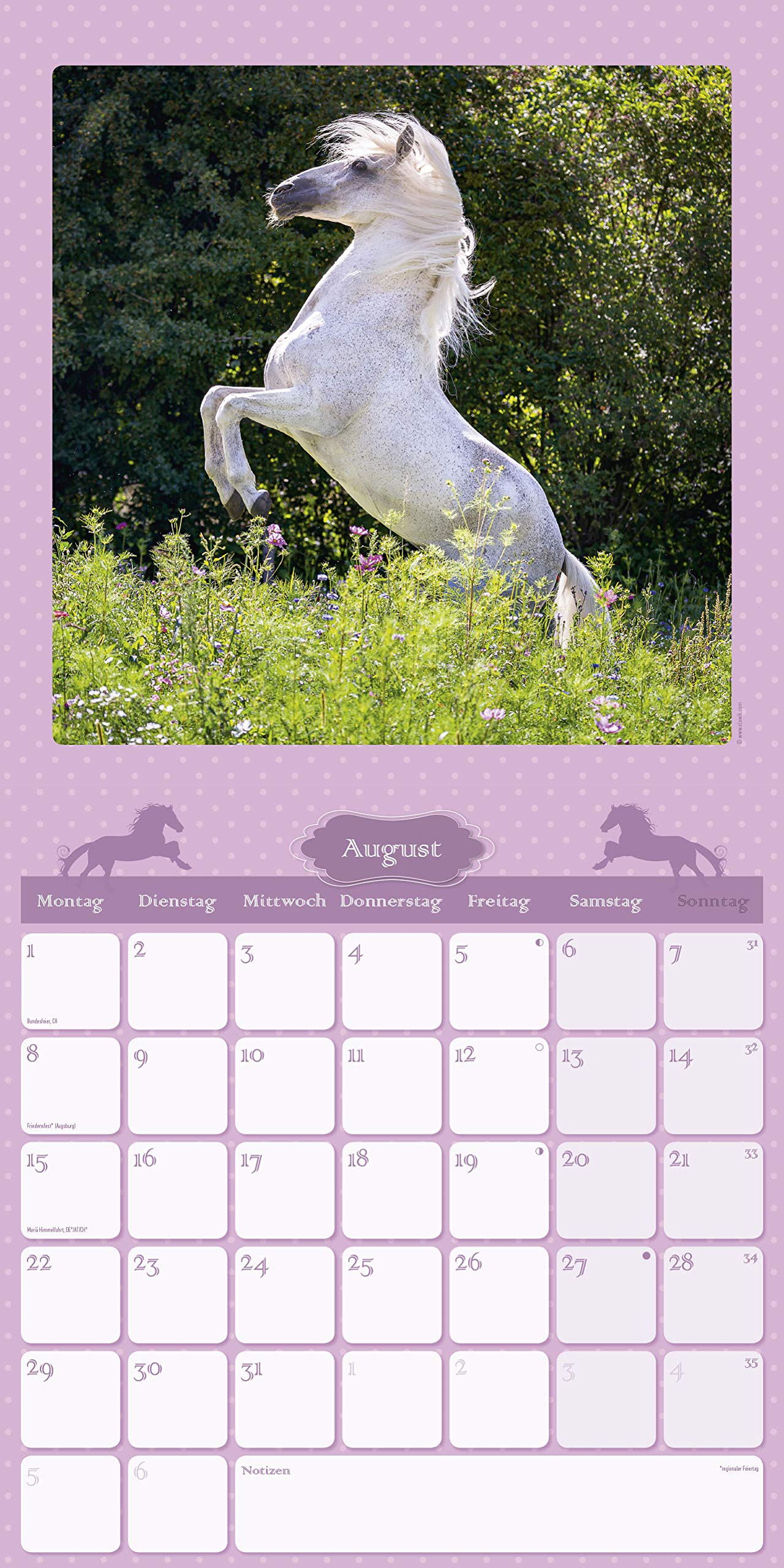 Pferdekalender