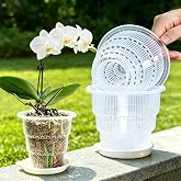 Meshpot Clear Orchid Pots with Holes and Saucers for Repotting, Plastic Orchid Planters Provide Good Air Circulation, Nursery Pots for Succulents, Herbs, Aloes, Mint, 4 Inch, Pack of 4