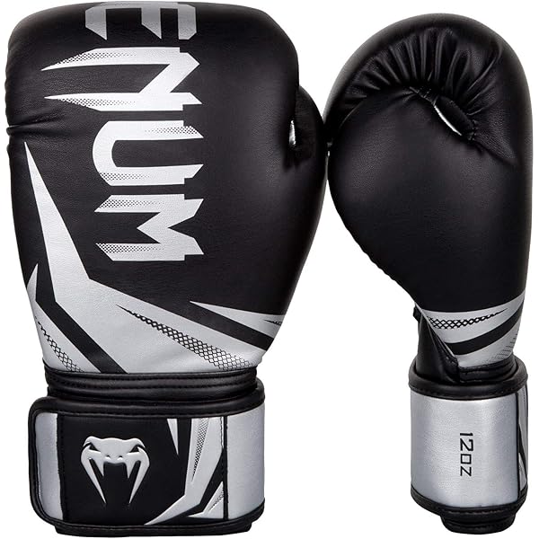 boxing gloves smyths