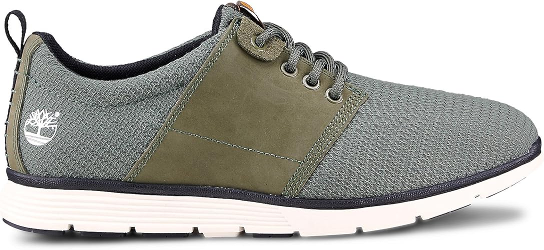 timberland men's killington oxford walking shoe