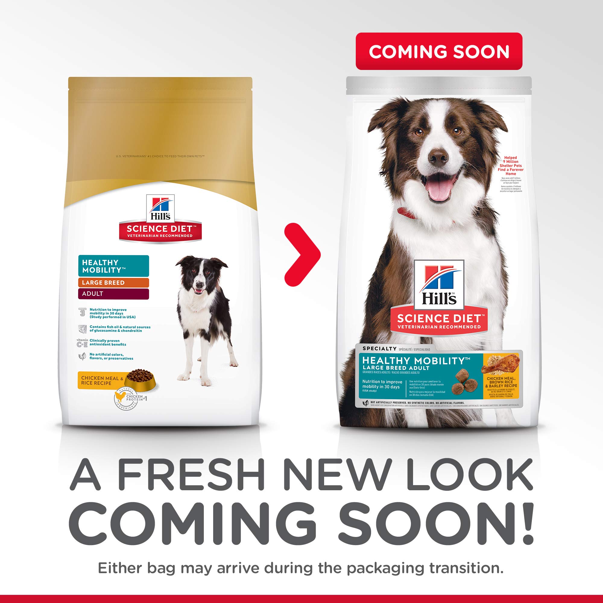 Hill'S Science Diet Healthy Mobility Dry Dog Food For Joint Health eBay