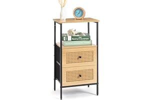 DOVAMY Rattan Nightstand with 2 Drawers, End Table for Small Spaces, Side Table with Storage for Bedroom, Living Room, Dorm, 27.5'' Bed Stand with Open Shelf, Beige BN03B