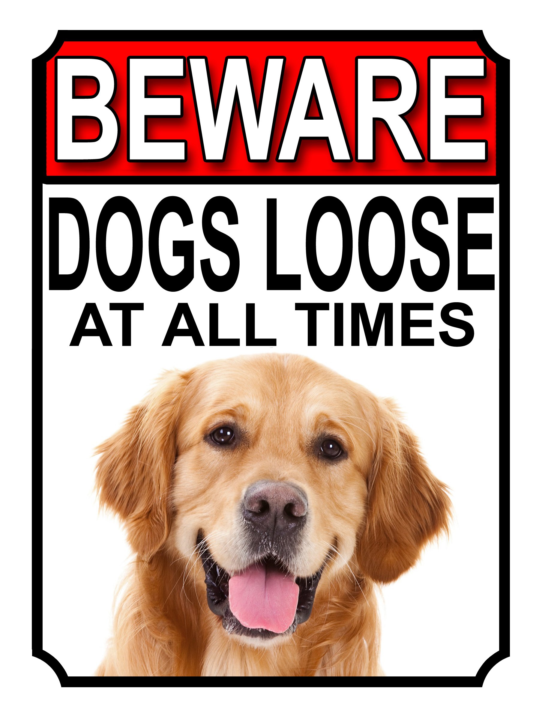 SHAWPRINT BEWARE DOGS LOOSE AT ALL TIMES METAL SIGN GOLDEN RETRIEVER 200MM X 150MM (1002H1) — image 1
