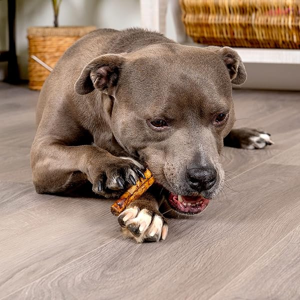 PET FACTORY AMERICAN BEEFHIDE 5″ CHIP ROLLS DOG CHEW TREATS – BEEF & CHICKEN FLAVOR, 50 COUNT/1 PACK