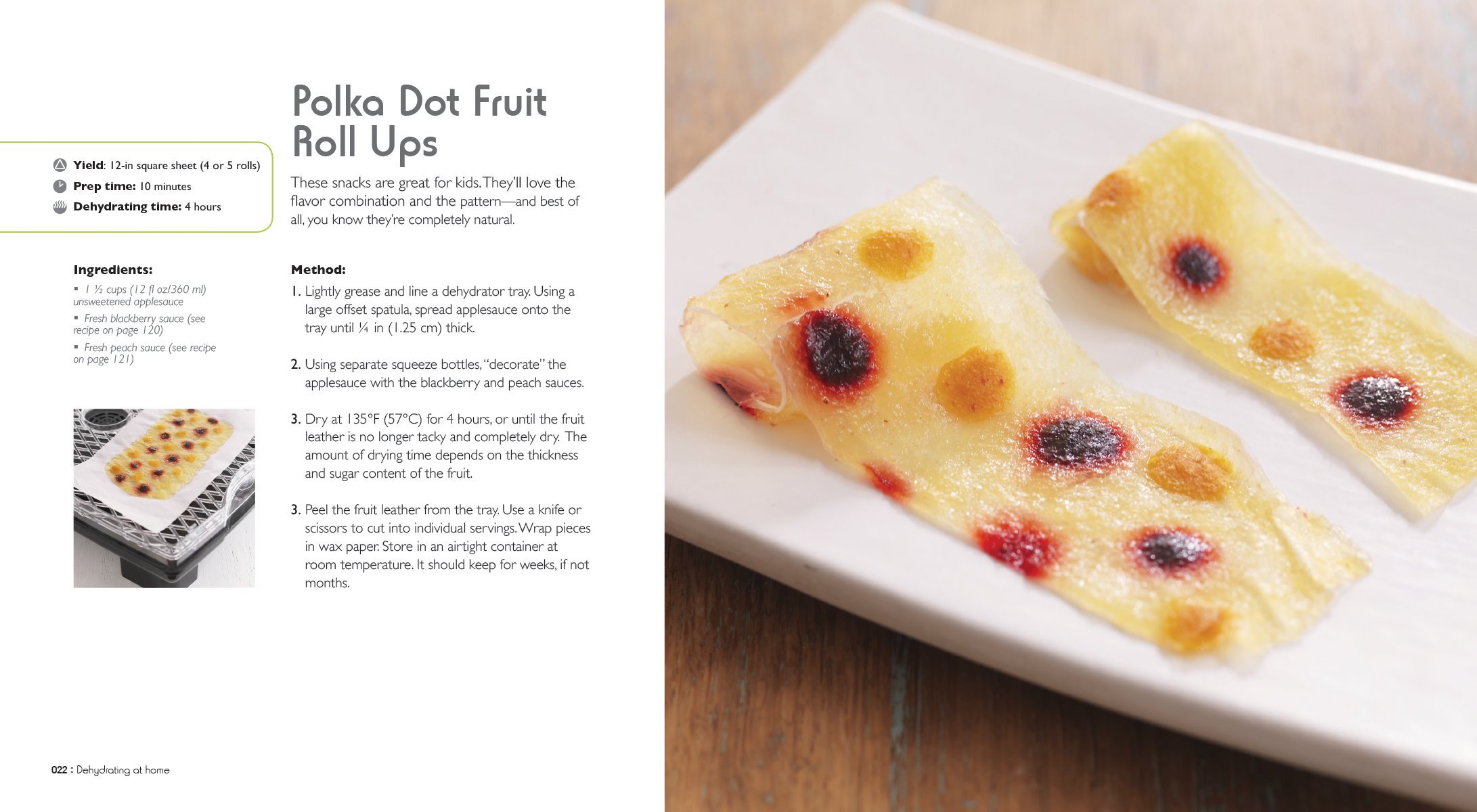 fruit leather dehydrator temperature