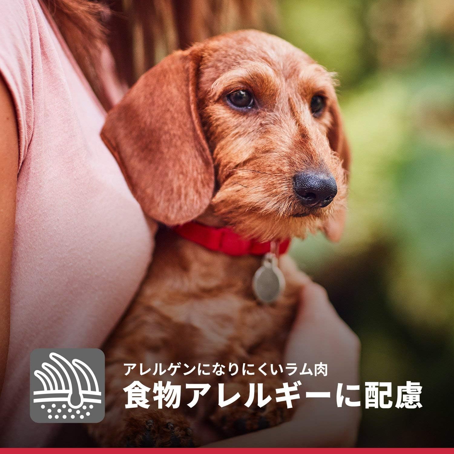 Amazon Co Jp ヒルズ サイエンス ダイエット ドッグフード アダルト 1歳以上 成犬用 食物アレルギーに配慮 ラム ライス 6 5kg ペット用品 Amazon Co Jp ヒルズ サイエンス ダイエット ドッグフード アダルト 1歳以上 成犬用 食物アレルギーに配慮 ラム ライス 6 5kg ペット用品