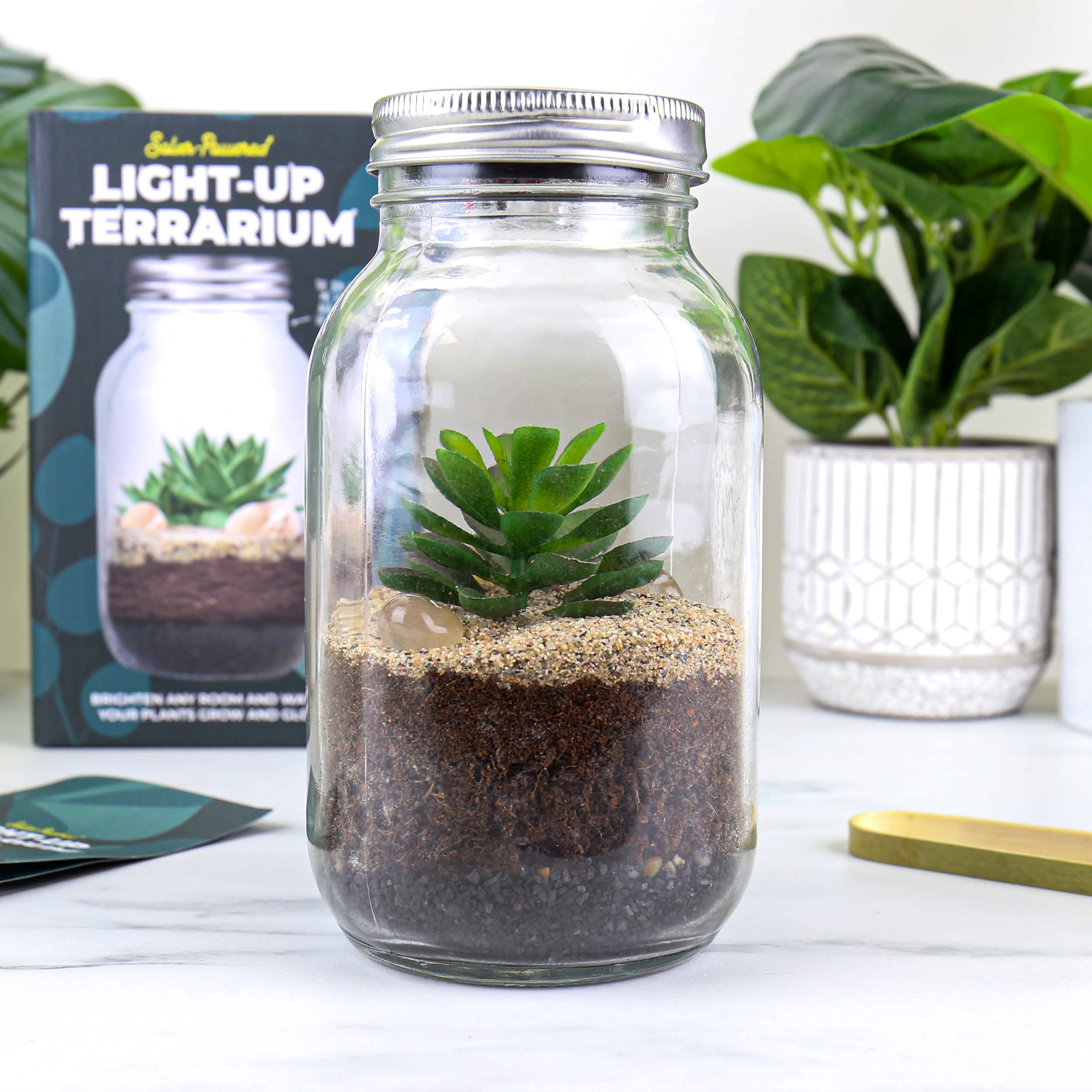 Gift Republic Light Up Terrarium - Create a magical mini garden.