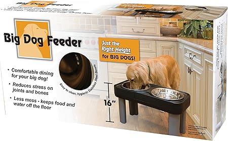 big dog feeder