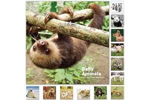 POLUMA Calendar 2024-2025 - 18 Month Baby Animals Wall Calendar 2024-2025 from July 2024 - December 2025, 12 x 12 inches, Thick & Sturdy Paper, 12" x 24" (Open), Perfect Calendar for Organizing & Planning