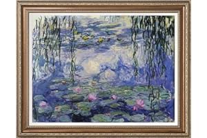 Dimensean Stamped Cross Stitch Kits Full Range of Embroidery Patterns Starter Kits for Beginners Adult or Kids DIY Cross Stitches Needlepoint Kits 11CT-Monet Water Lily 15.7x21.3 inch