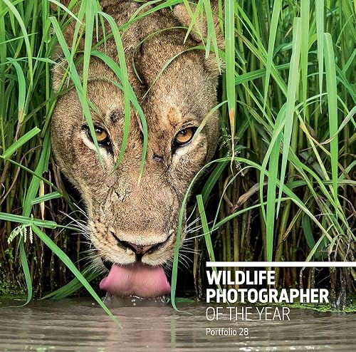 Download Wildlife Photographer of the Year: Portfolio 28 PDF